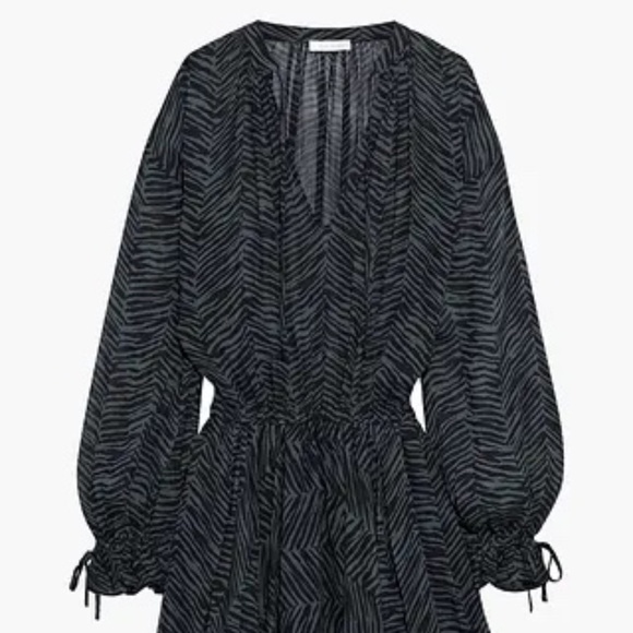 Elliana asymmetric zebra-print silk-georgette mini dress from ANINE BING - Picture 10 of 10